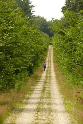 man op bos pad