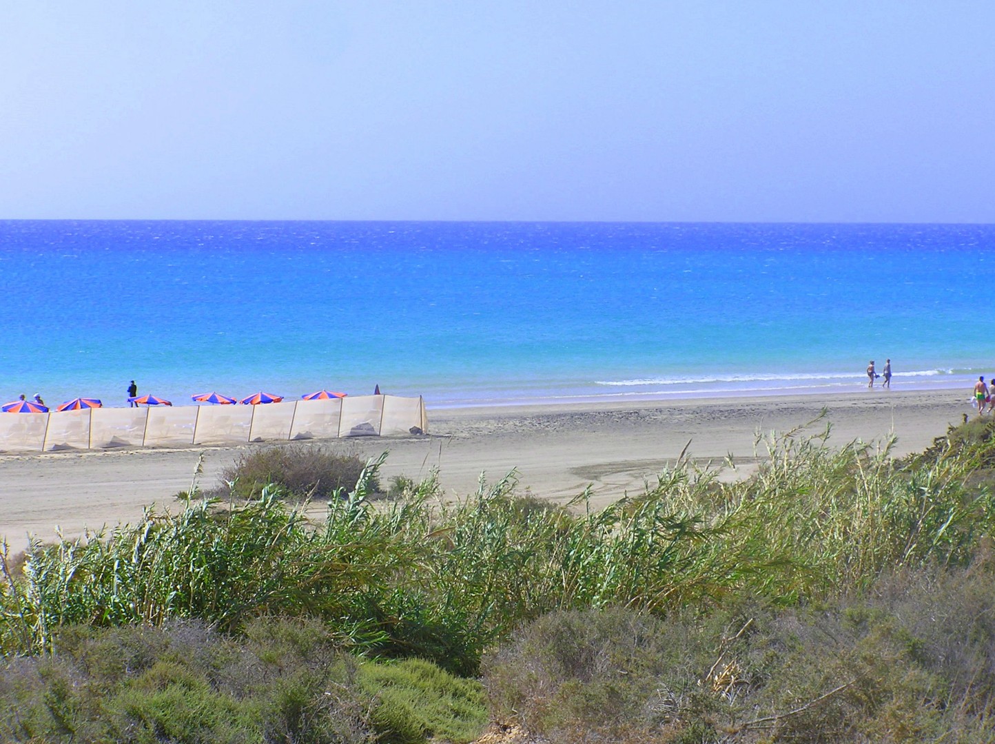  Fuerteventura