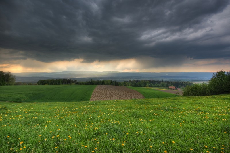 Ein Gewitter naht!