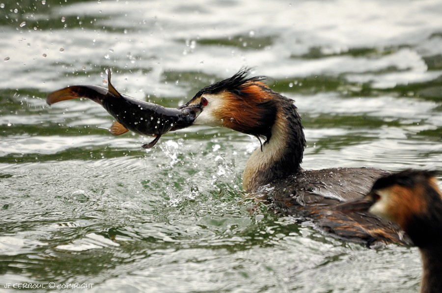 Pêche en couple