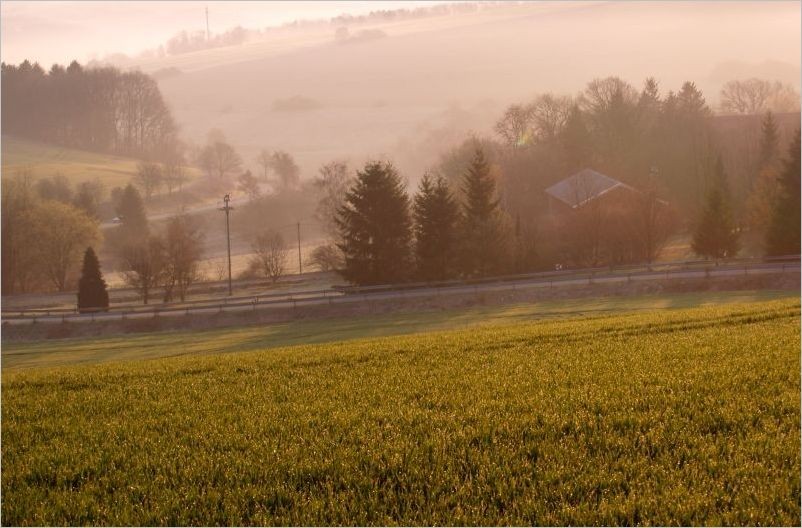 Landschaft in der Pfalz