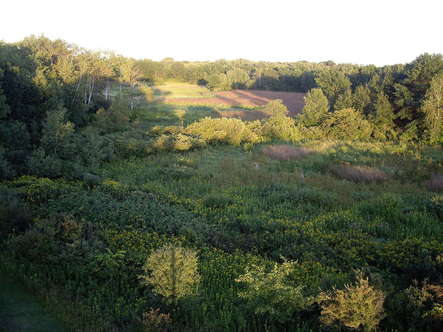 Nature Center