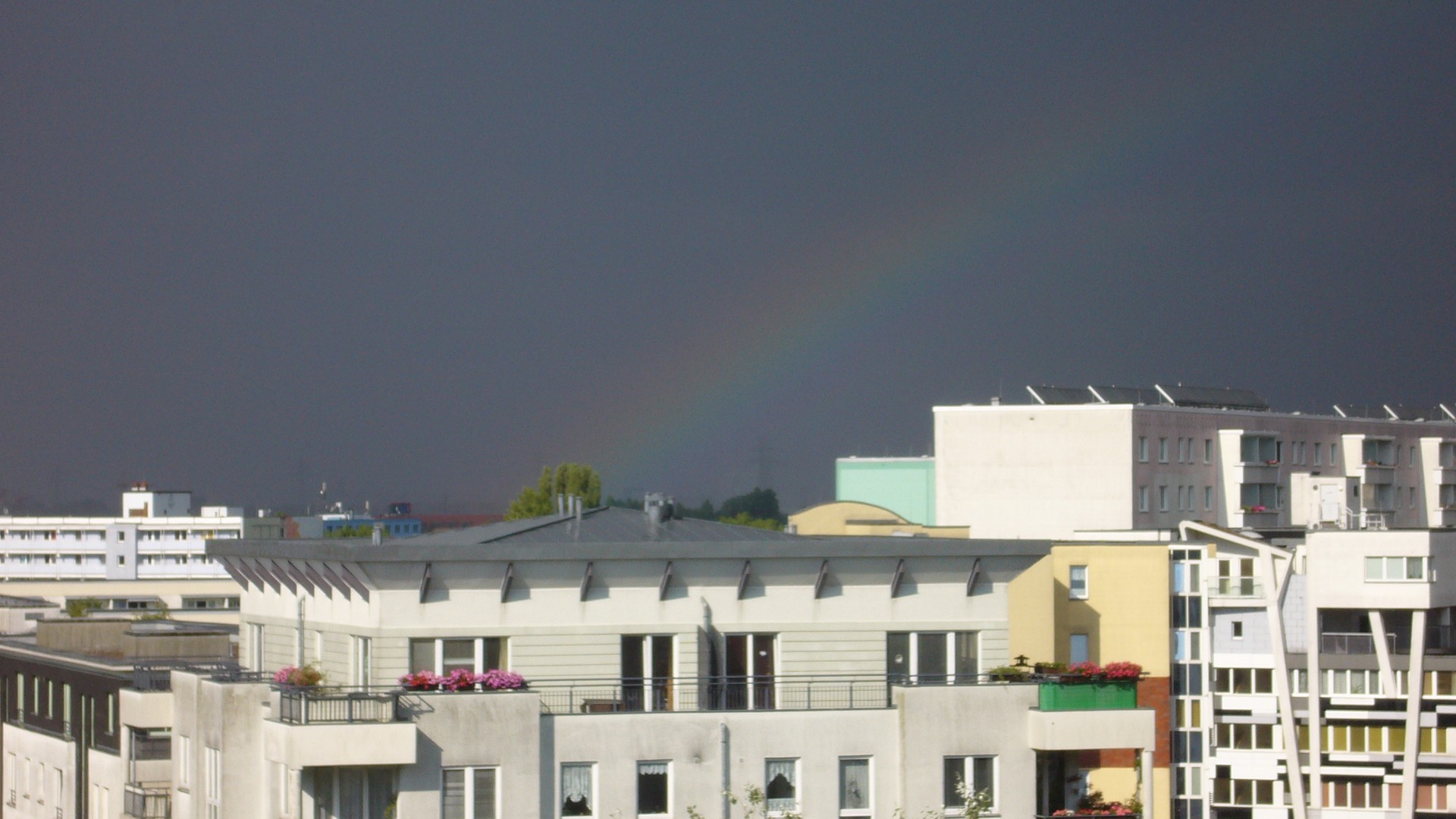 Regenbogen