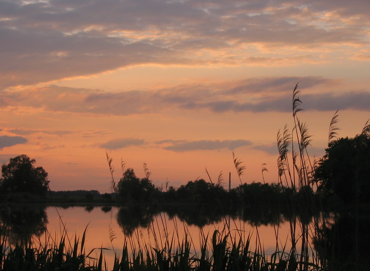 Flußlandschaft am Abend