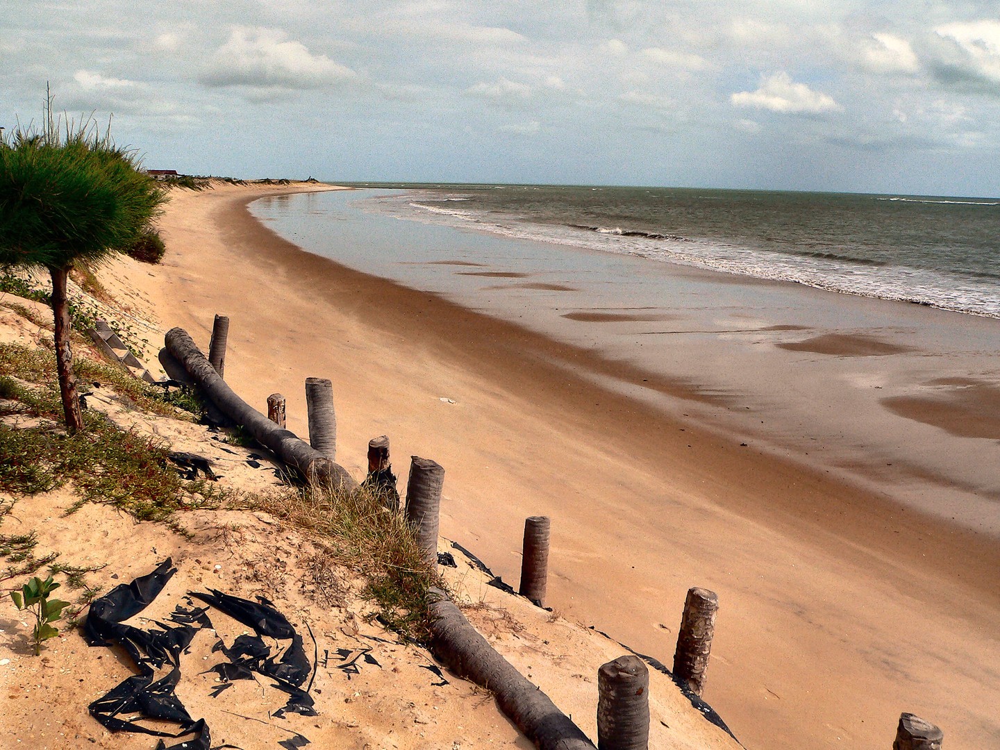 Along the coast