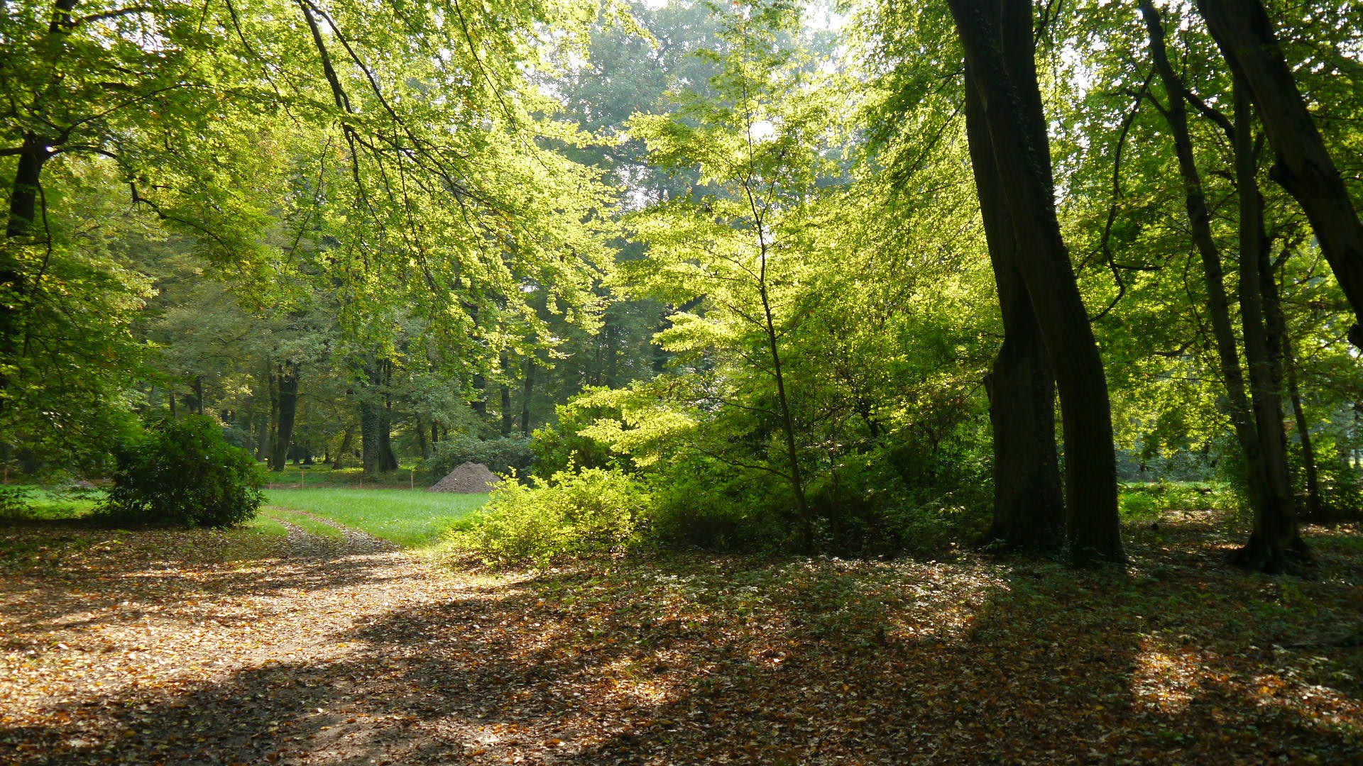 Park Altdöbern