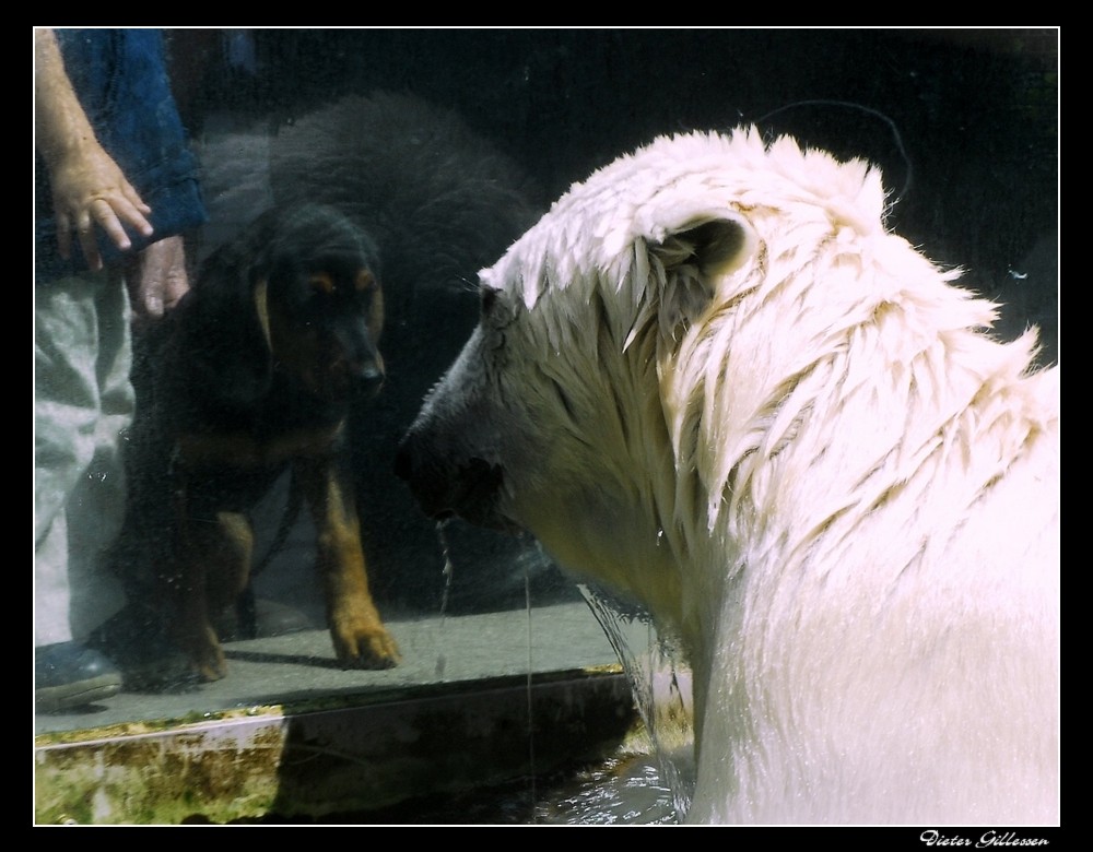 Kommst rein ins Wasser ??????