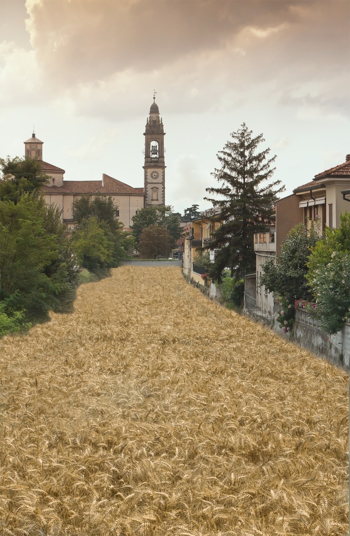 Fiume di grano