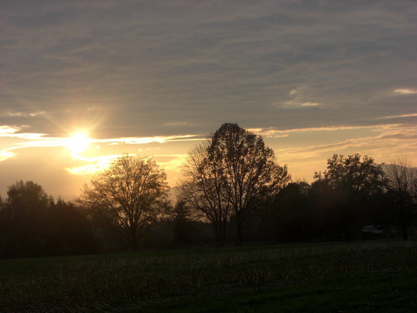 Sonnenuntergang im Lustenauer Ried