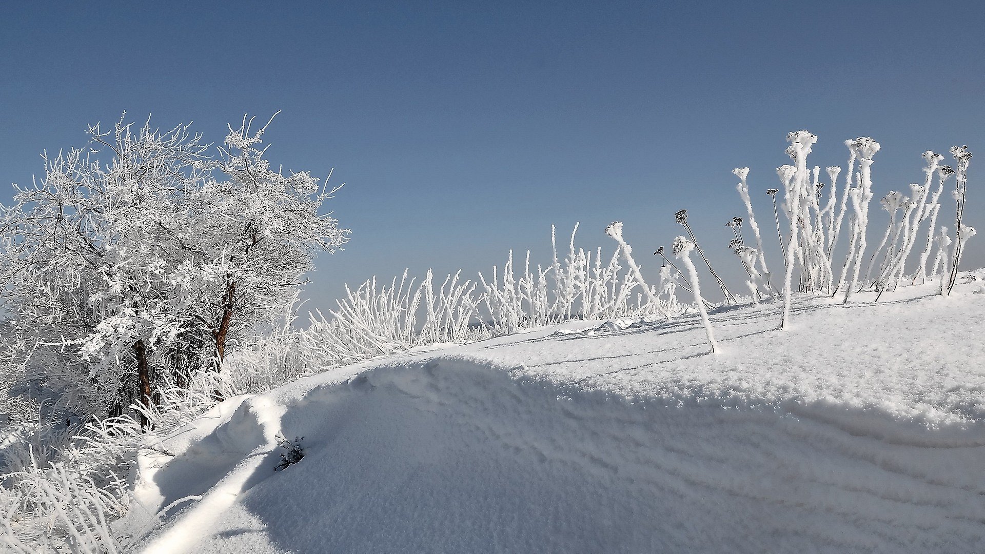 Schnee von gestern