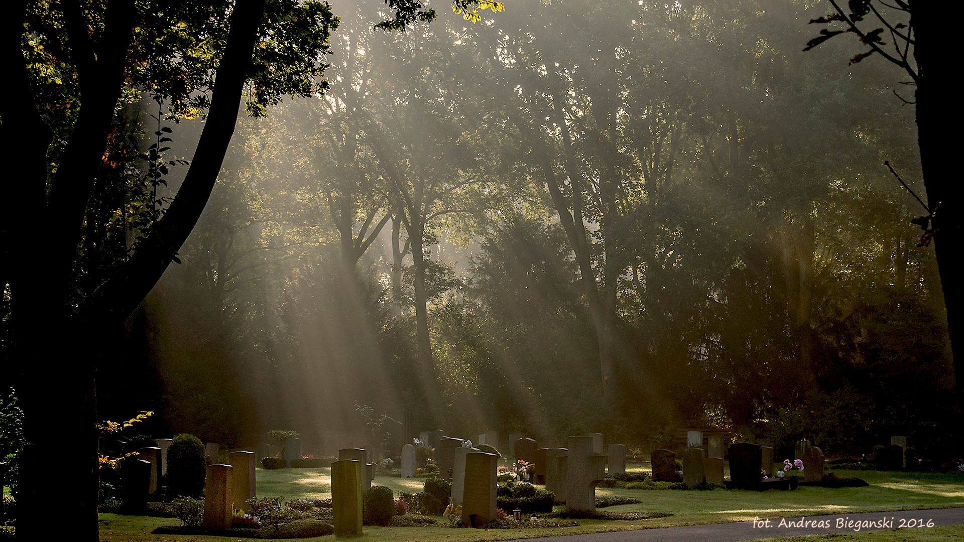 Friedhof