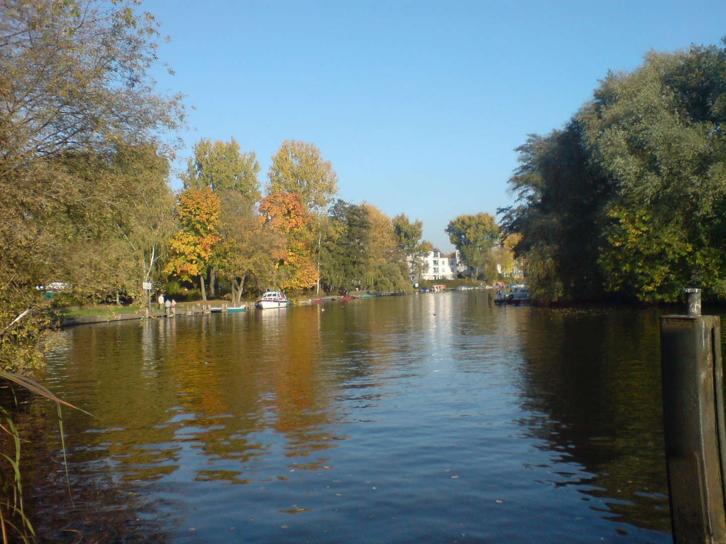 Köpenick, Spree