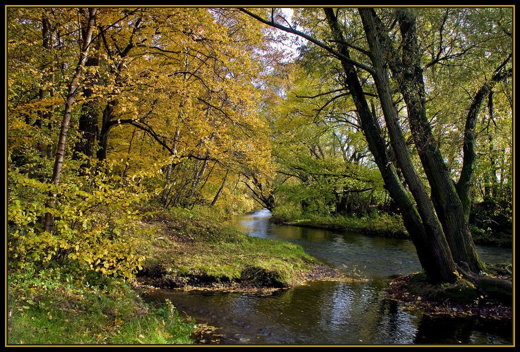 Herbststimmung an der Innerste