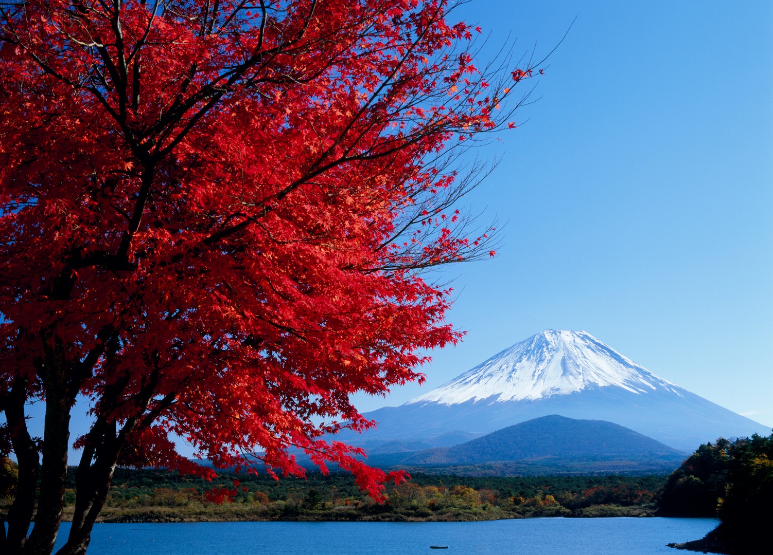 富士山百科