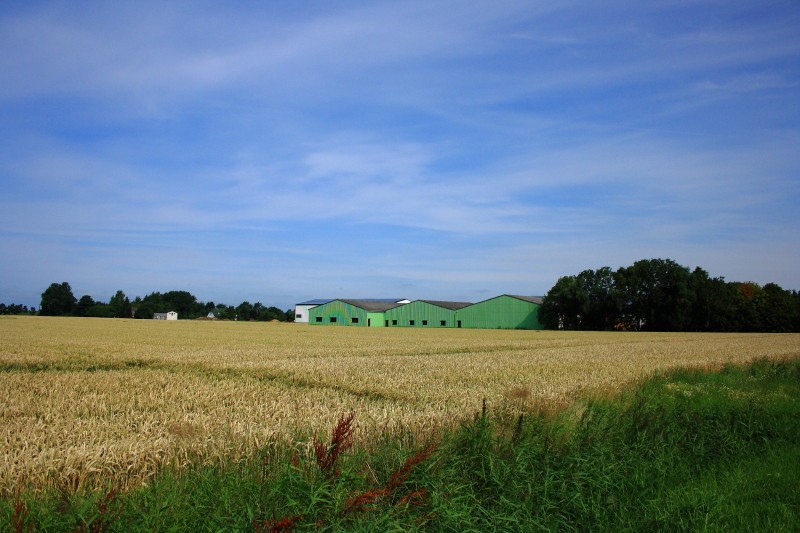 harmonische Landschaft