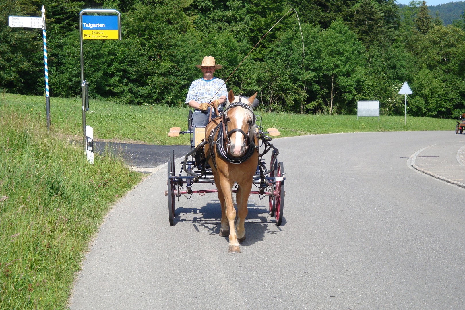 Haflinger-Kutschenfahrt