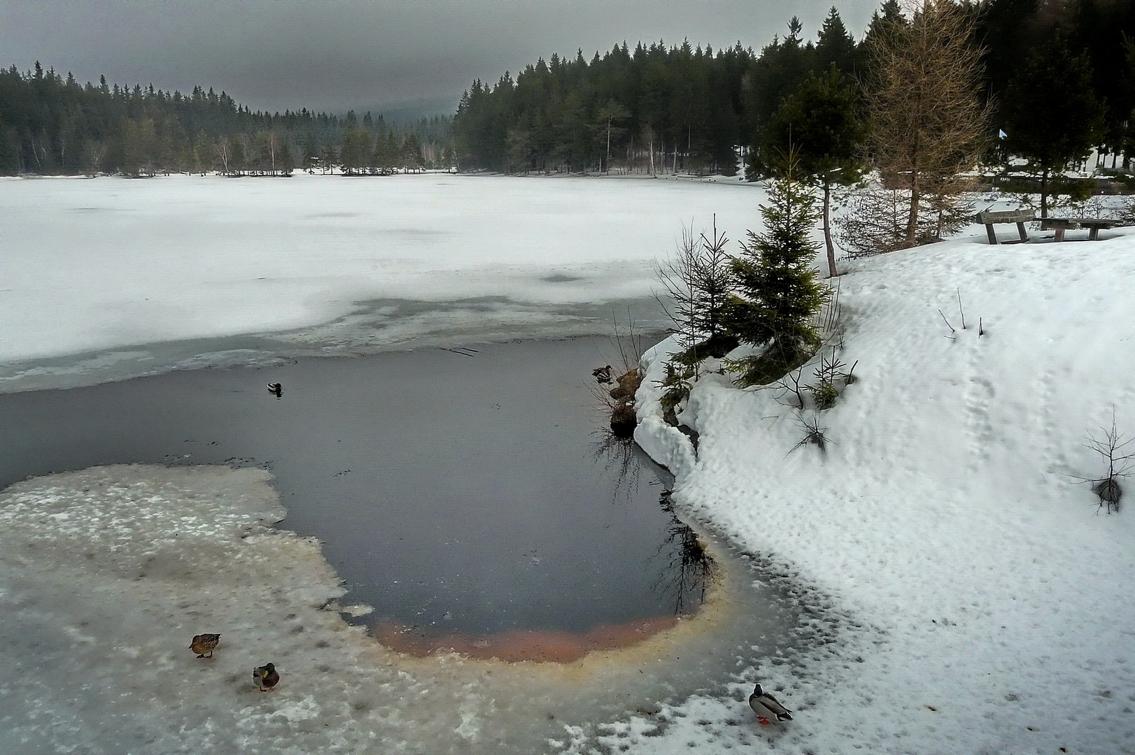 Frühlingsanfang im Fichtelgebirge