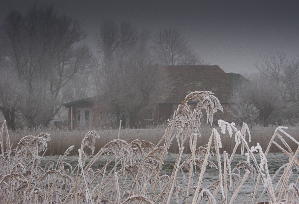 Winter in den letzten Zügen