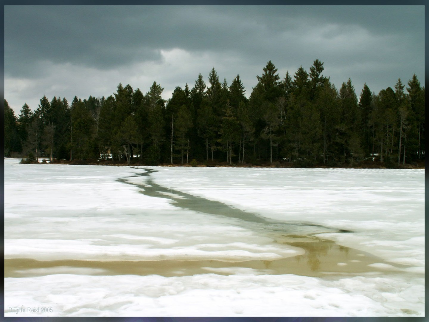 Etang de Gruère