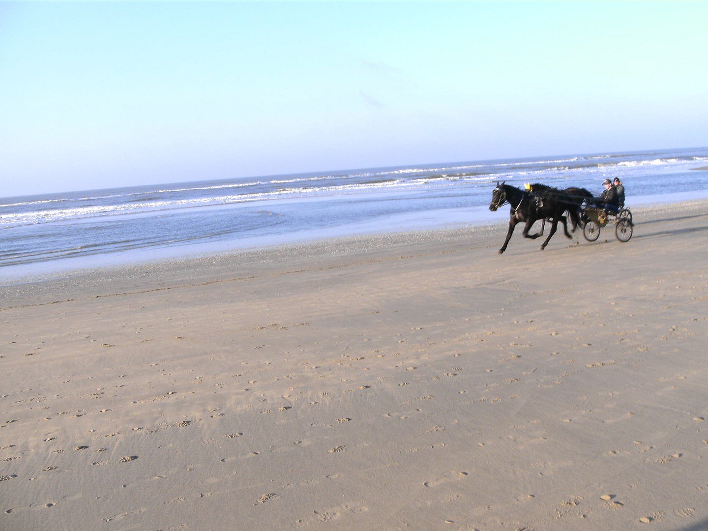 Bloemendaal aan Zee in de winter met paard en wagen