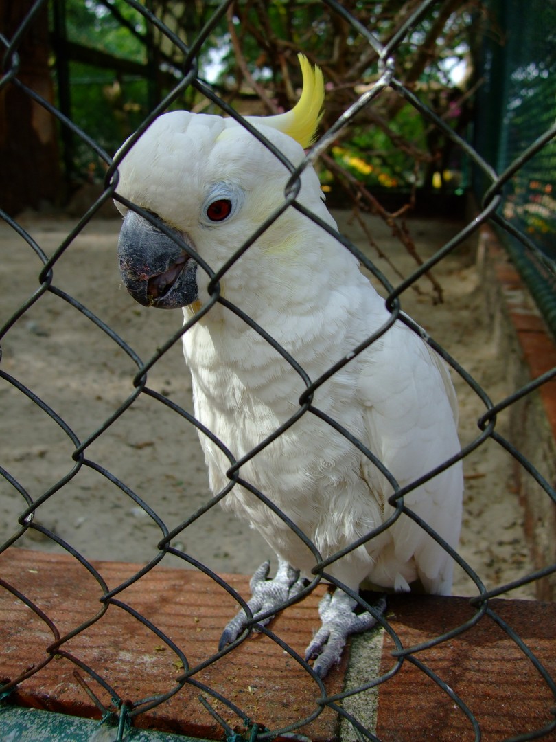 Hinter Gittern