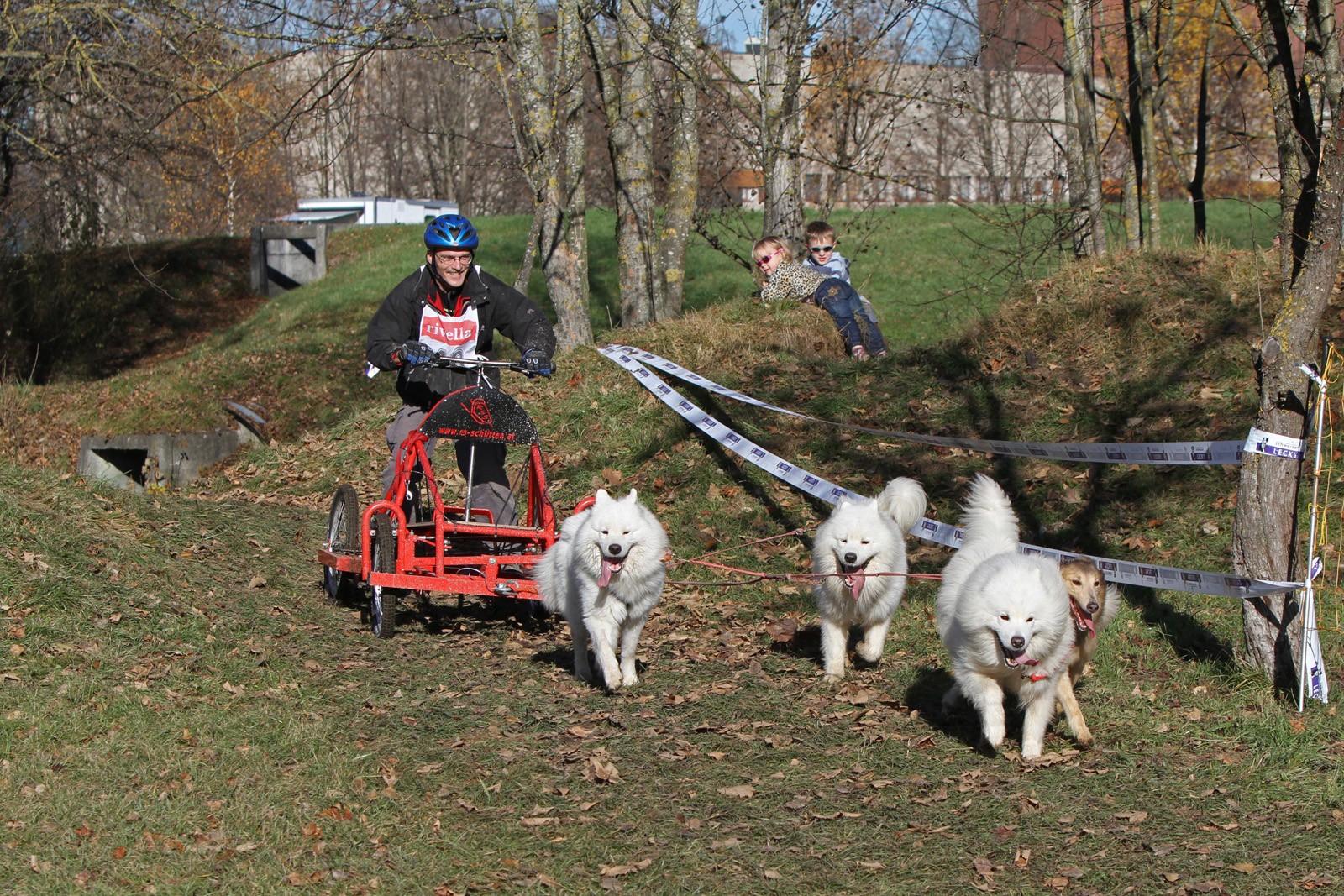 Hundewagenrennen