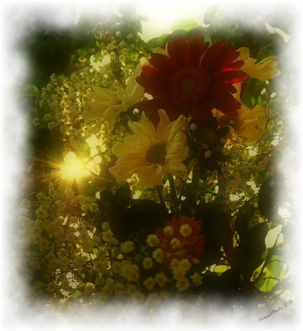 Blumen im Sonnenlicht