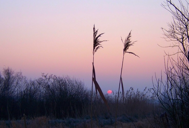 Sonnenaufgang in Bremen-Huchting