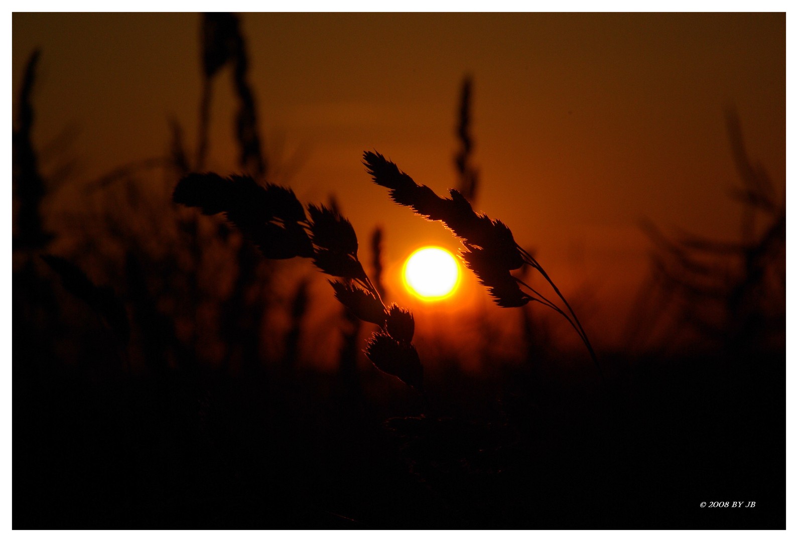 Ein schöner Sonnentag geht zu Ende....