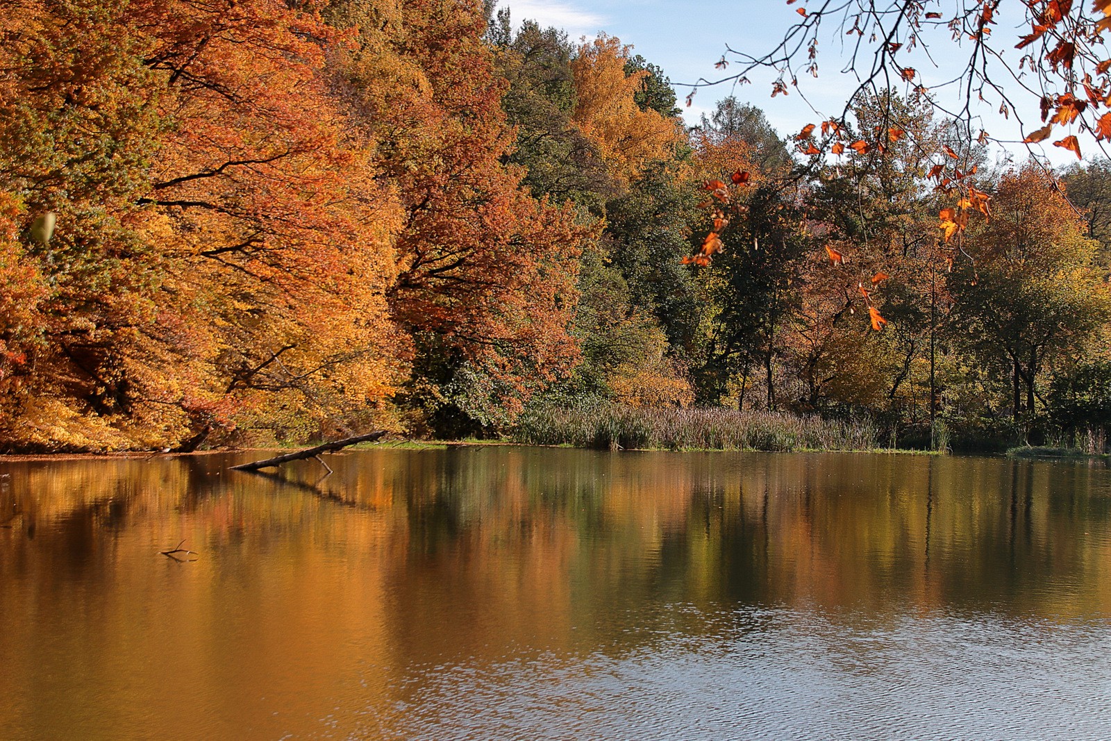 Herbst im Erzgebirge