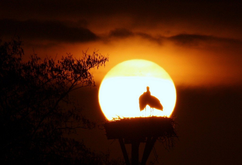 Wie doet het licht uit?