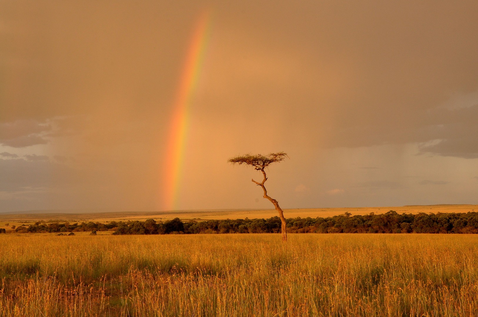 Naturphänomen in Afrika