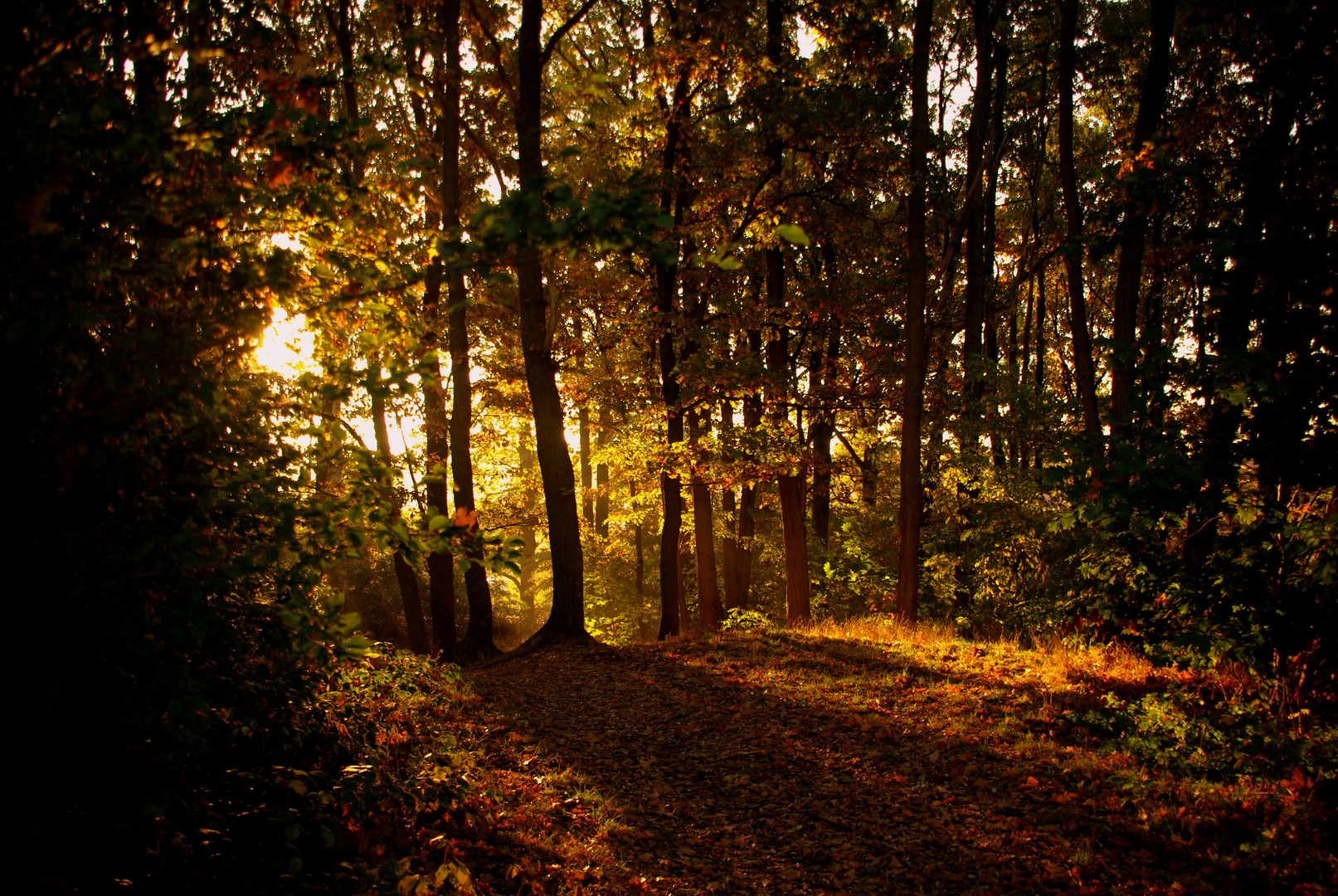 Herbstimpressionen