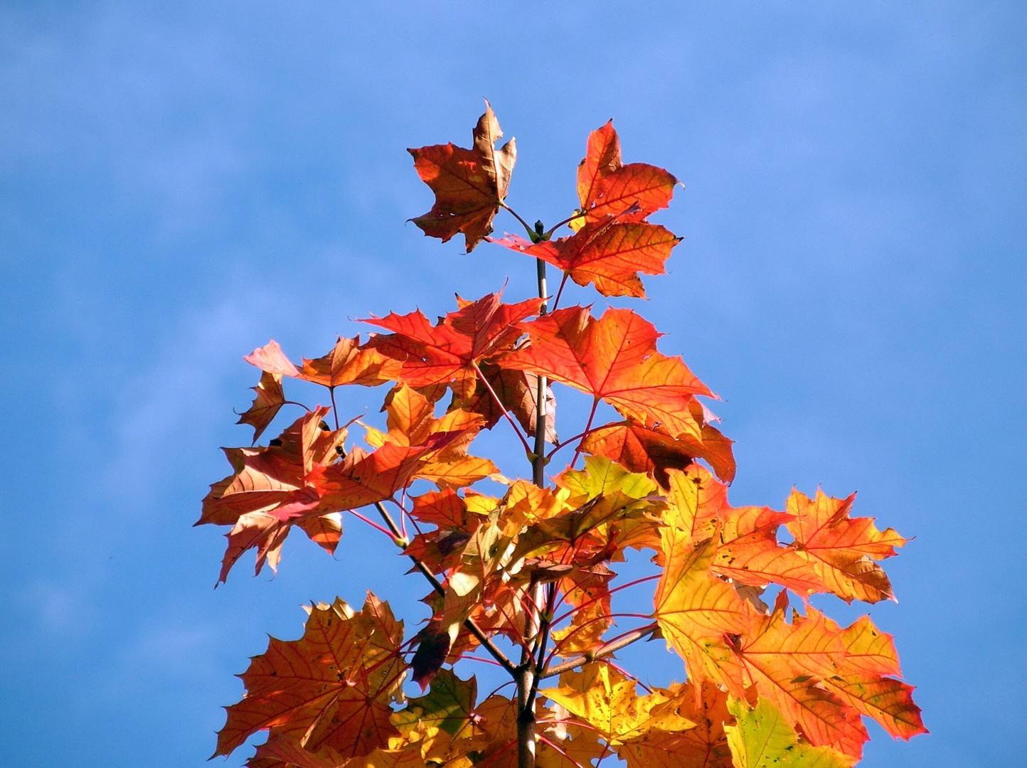 Herbst Impressionen