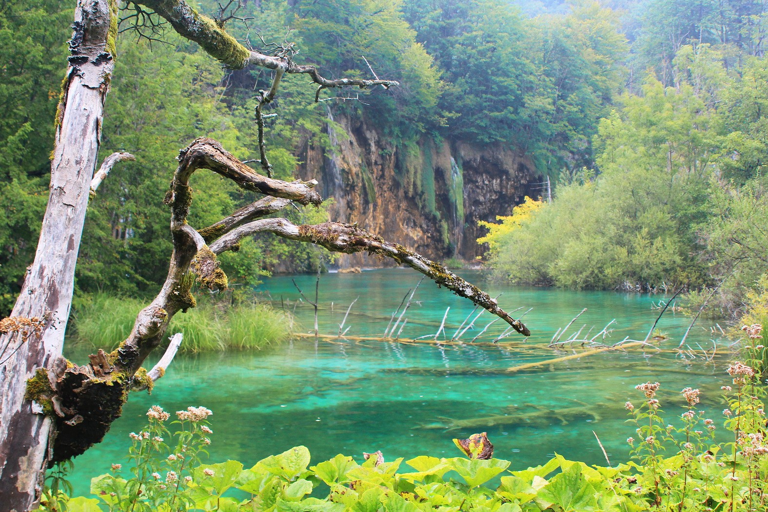 Parc National Plitvicka Jezera