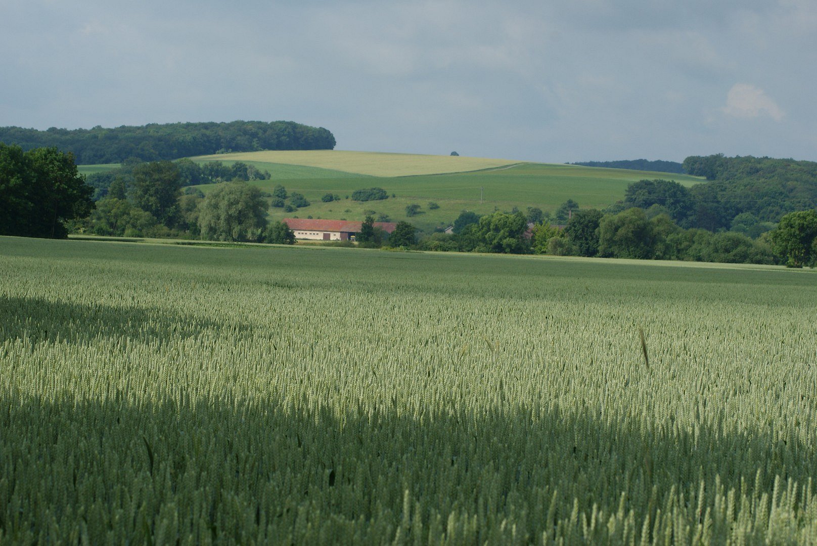 Feld und Haus