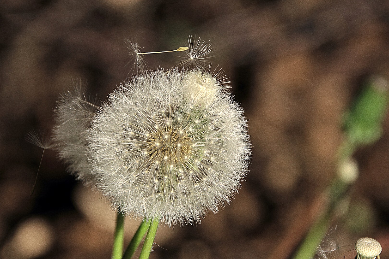 Abflieger