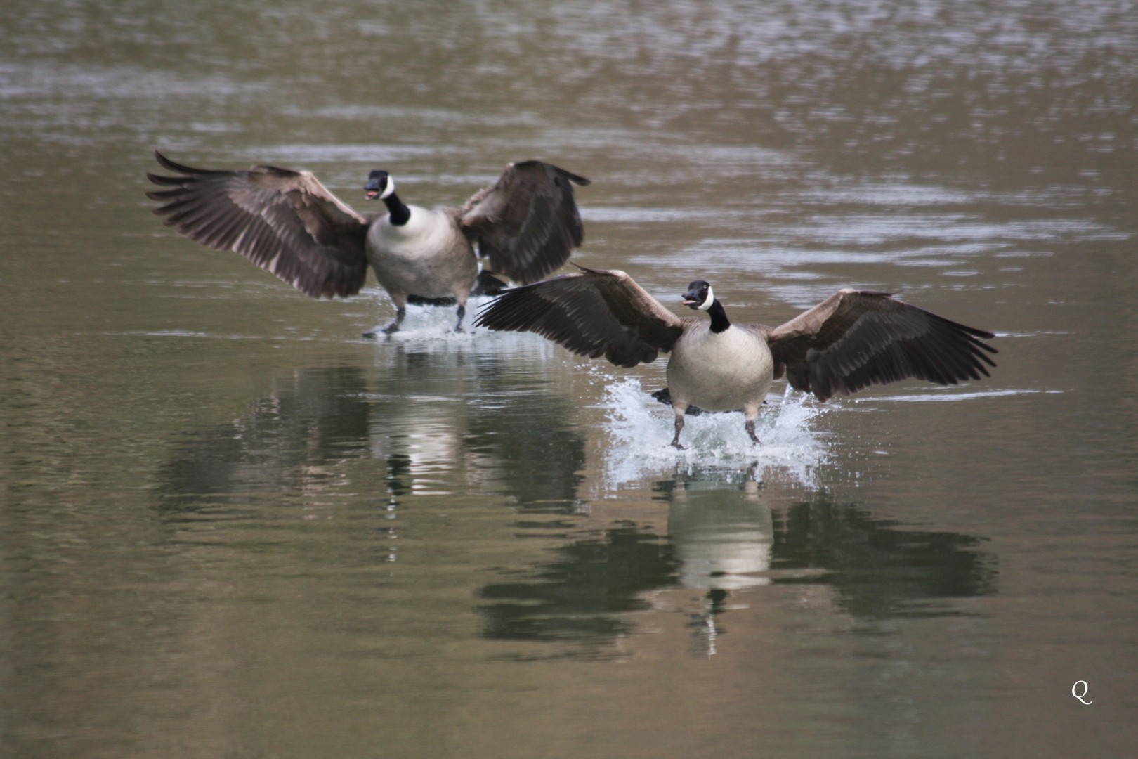 Flugschau 2