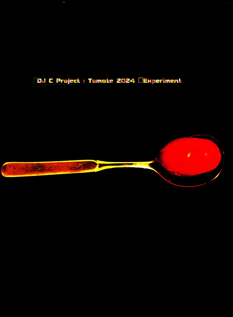 DJ C Project: Tomate2024 (Bildbearbeitung)