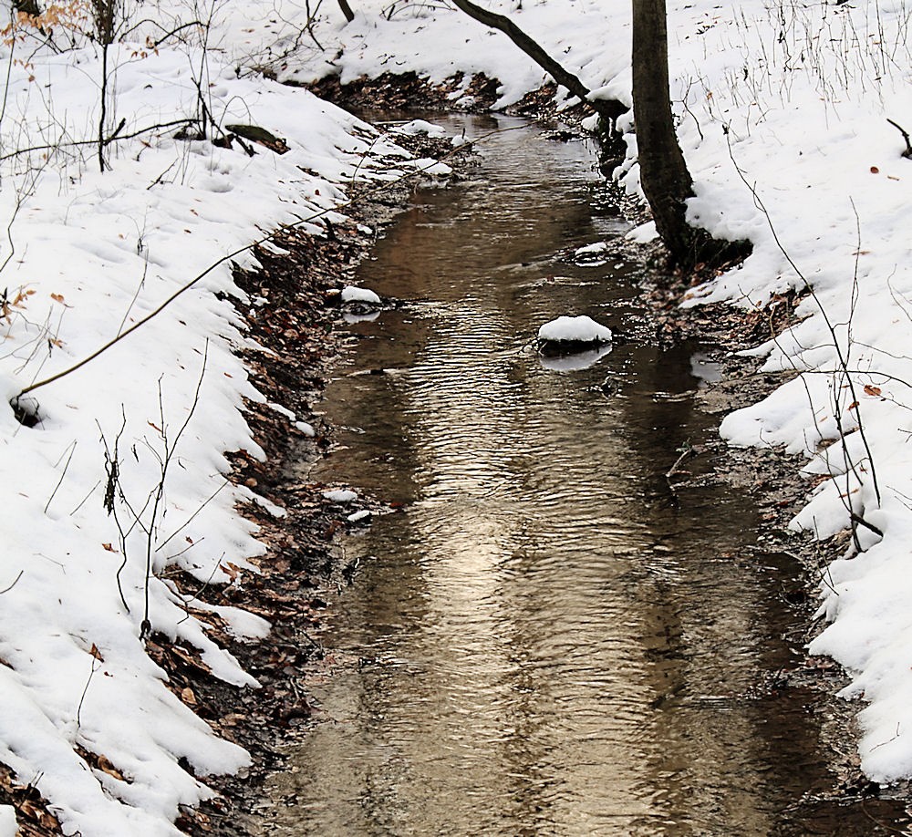 Der Winter macht ne kurze Pause