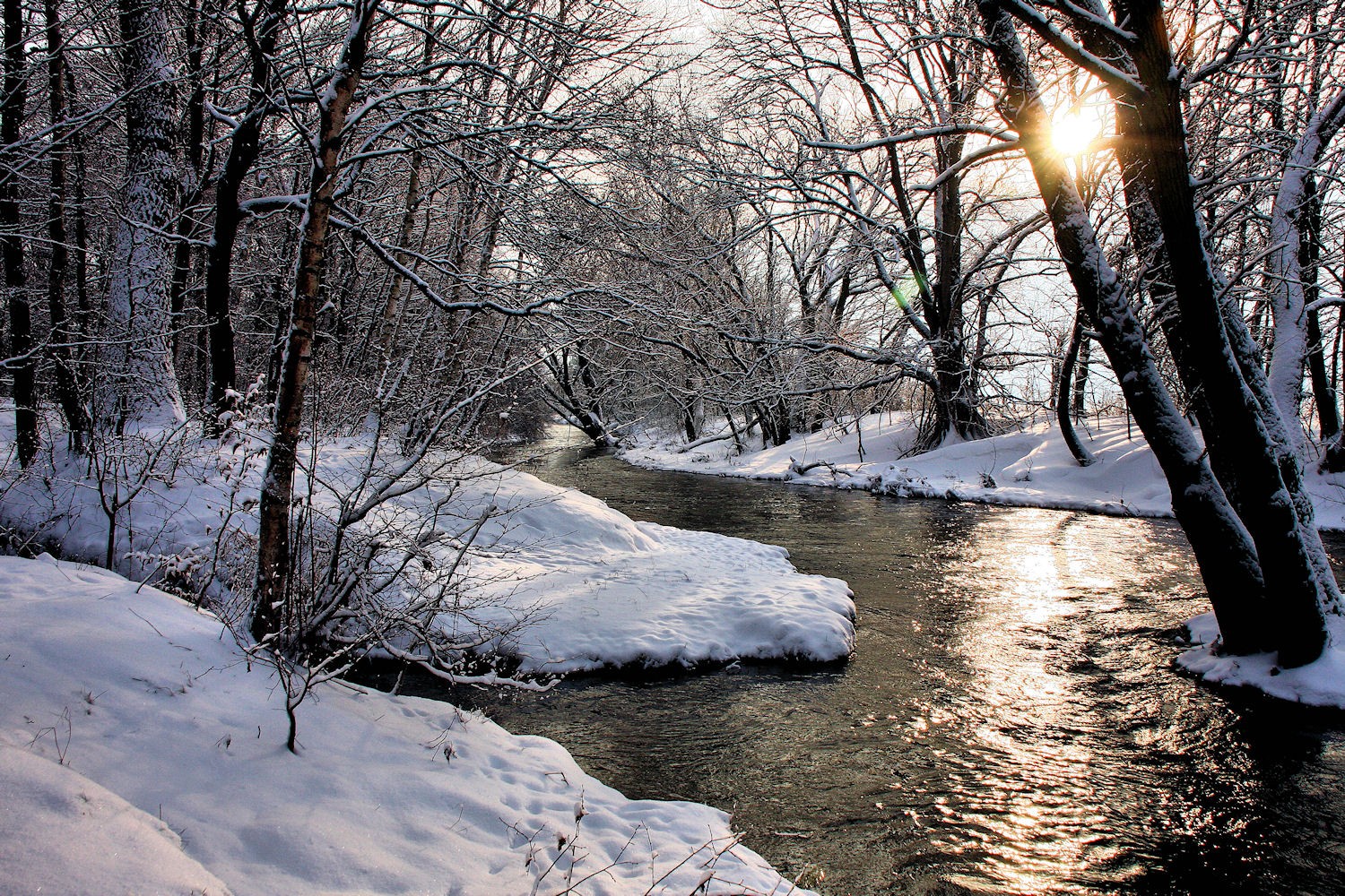 Winter an der Innerste