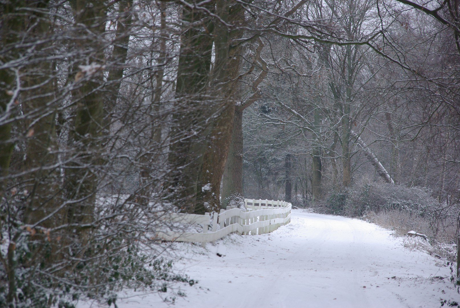 Winterweg