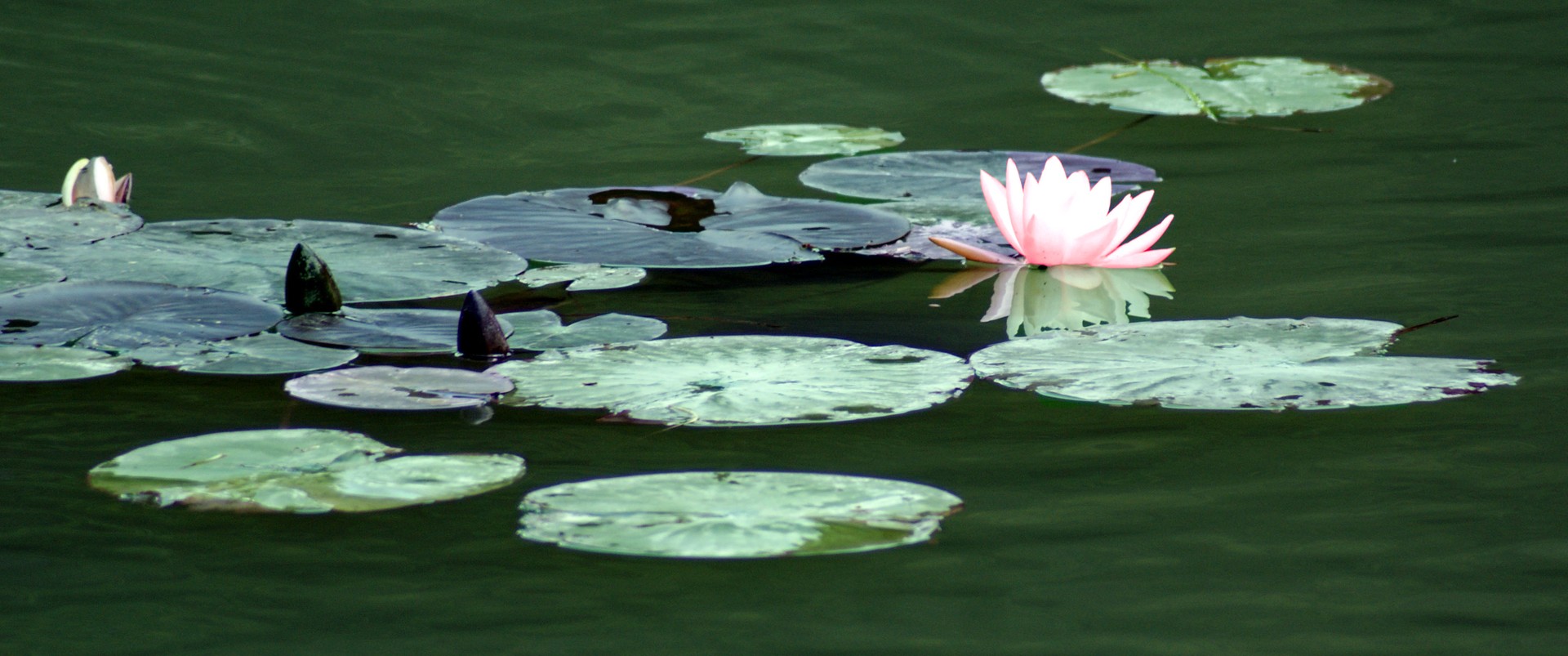 Am Weiher 2