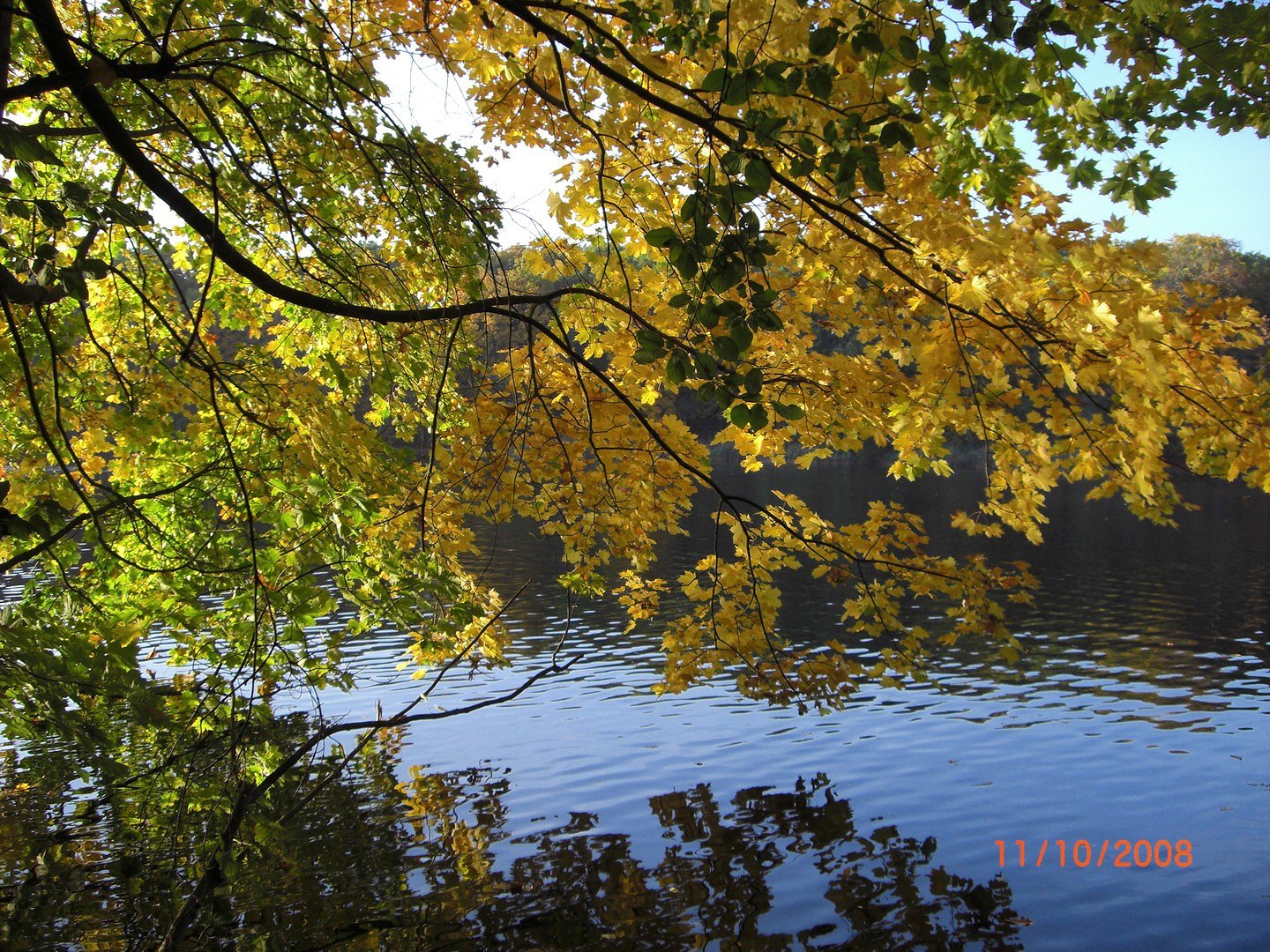 Goldener Herbst