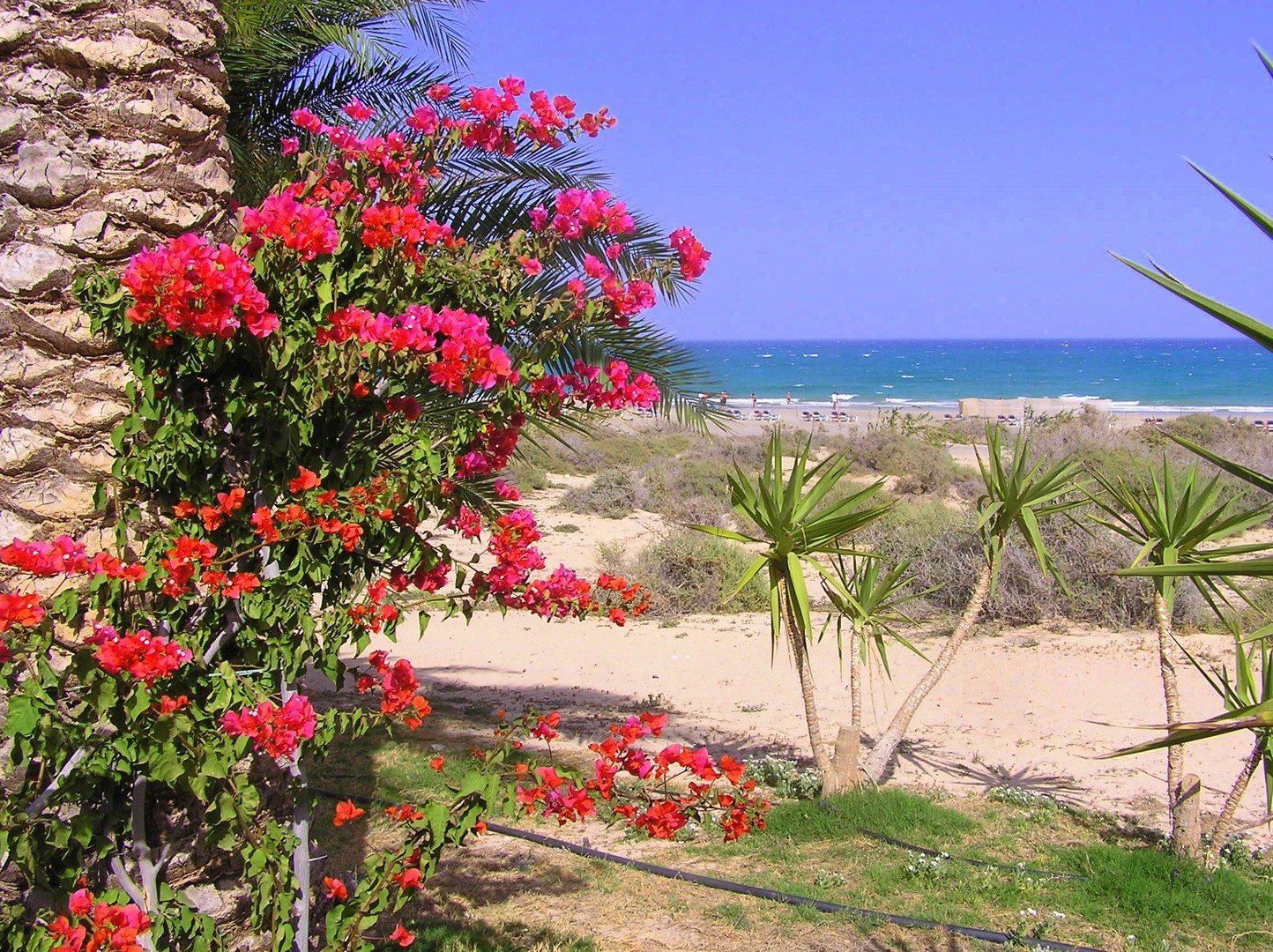  Fuerteventura