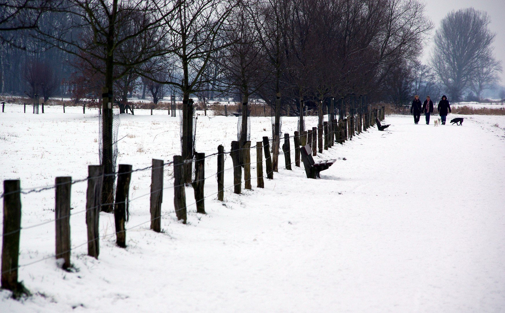 Winterweg