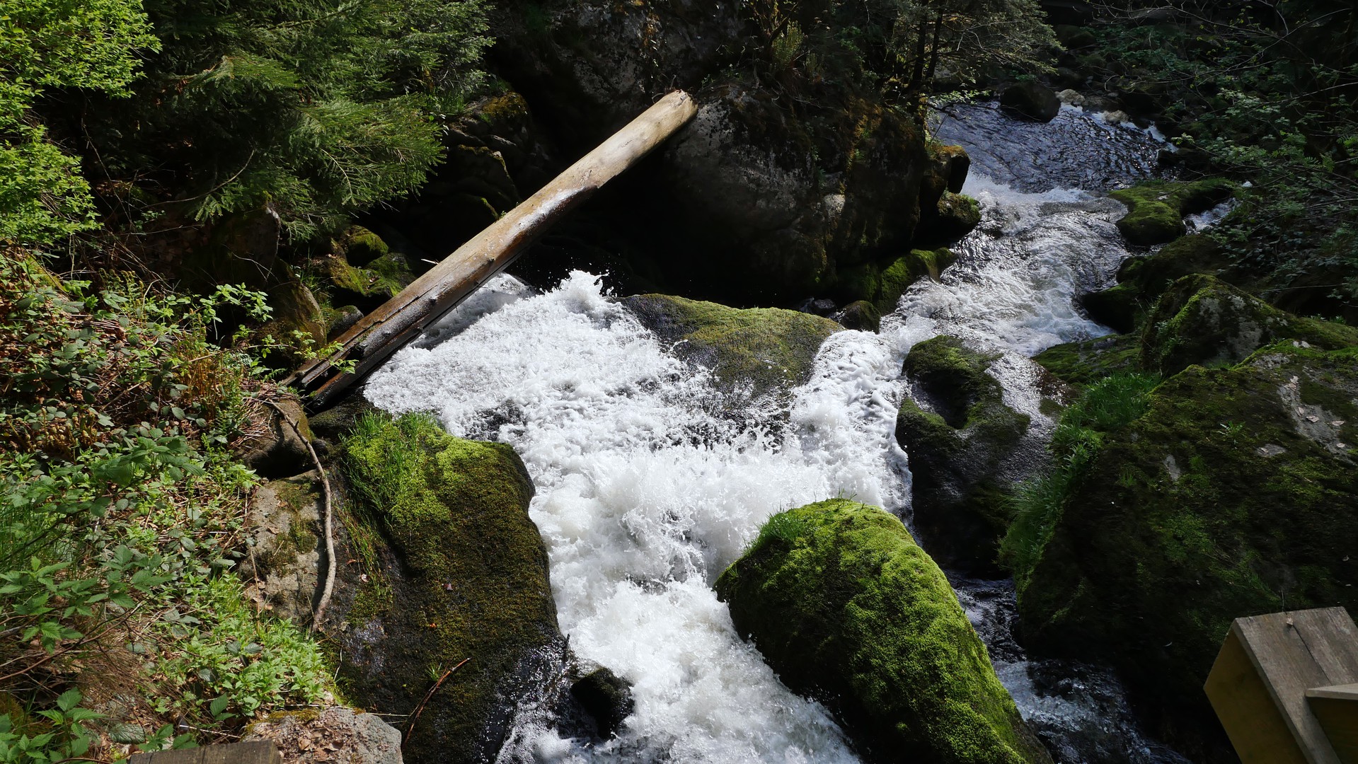 Triberg im Schwarzwald