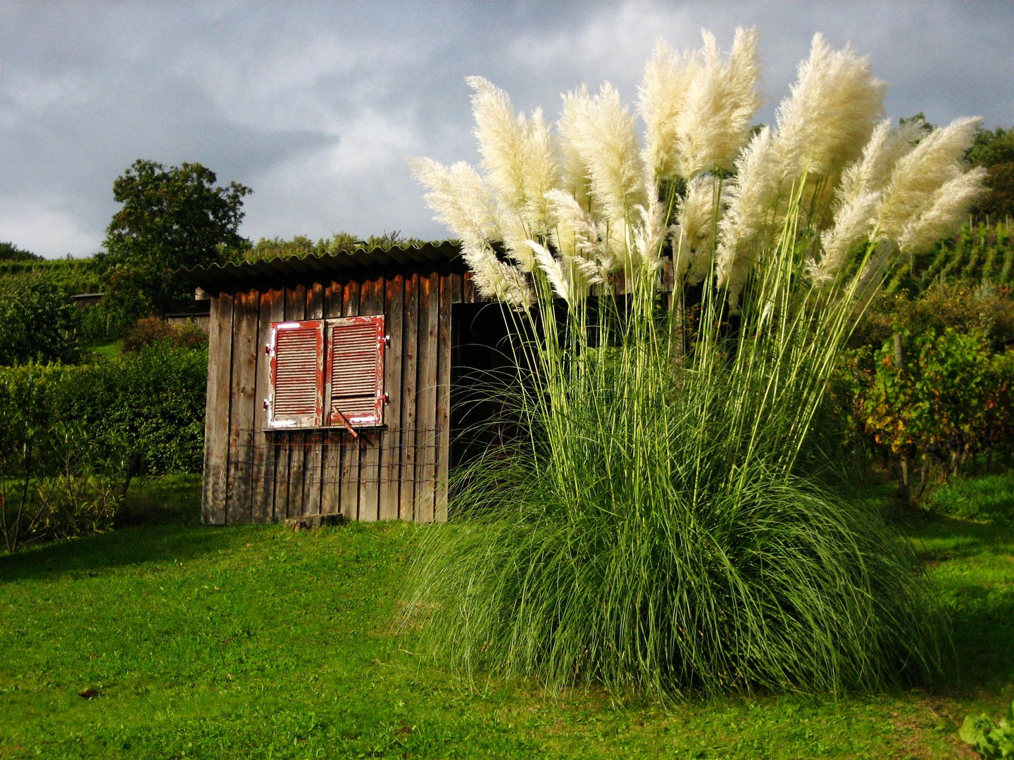 Gartenhäuschen ...