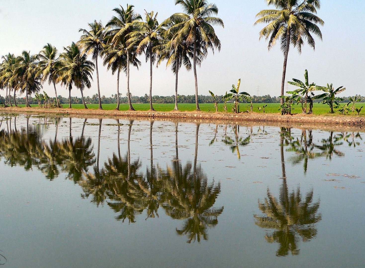 Kerala