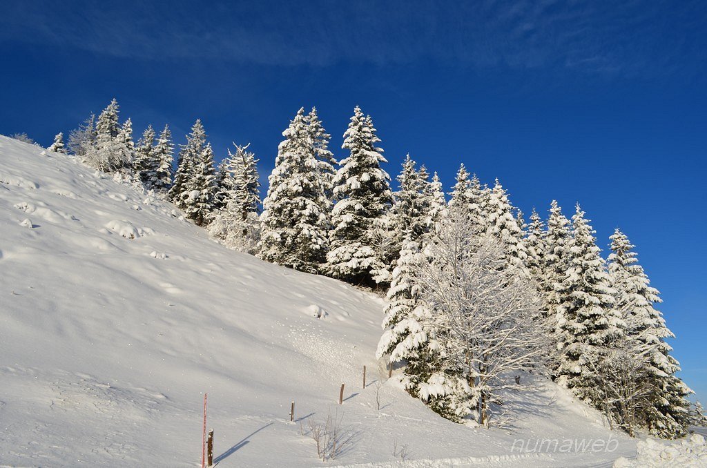 La neige à Tête-de-Ran, Val-de-Ruz, Suisse